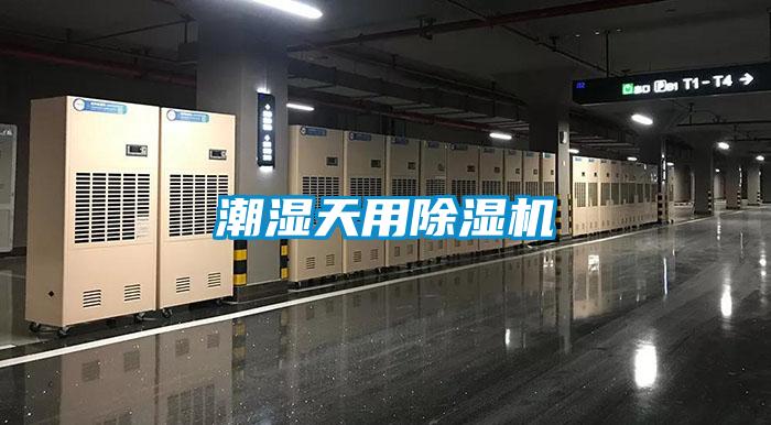 潮濕天用除濕機(jī)
