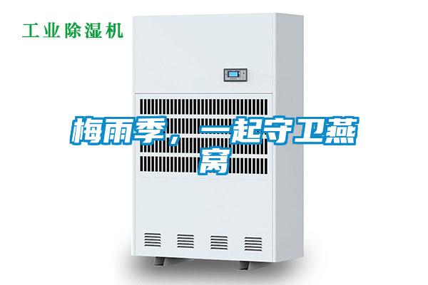 梅雨季，一起守衛燕窩