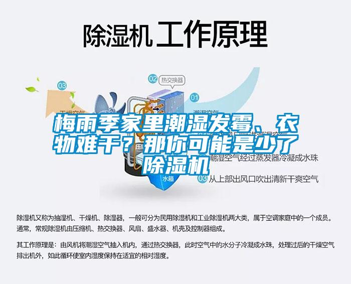 梅雨季家里潮濕發霉、衣物難干？那你可能是少了除濕機