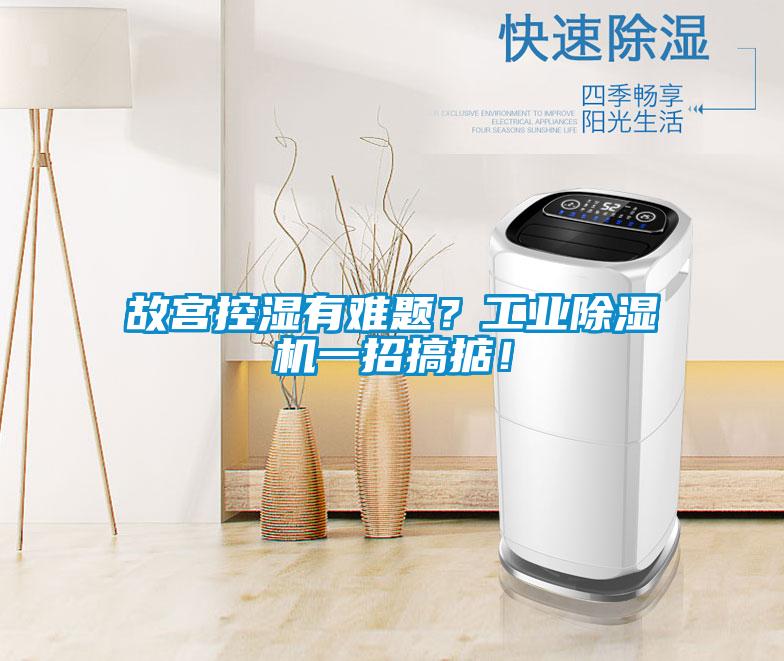 故宮控濕有難題？工業(yè)除濕機一招搞掂！