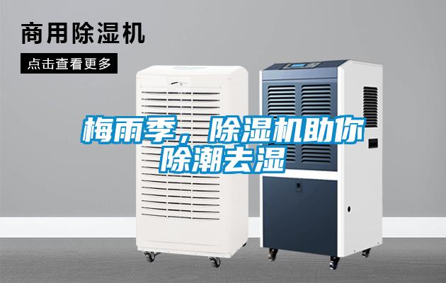 梅雨季，除濕機助你除潮去濕
