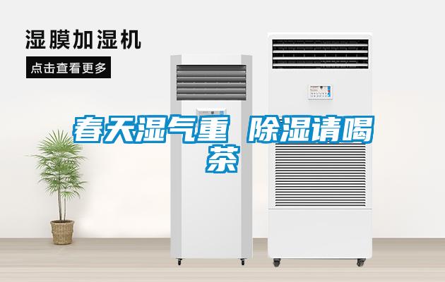 春天濕氣重 除濕請(qǐng)喝茶