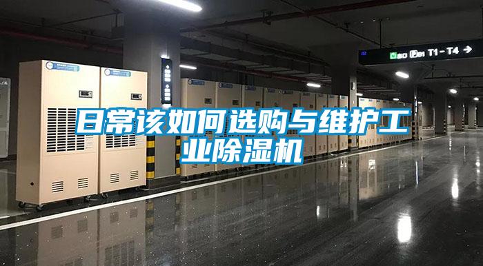 日常該如何選購與維護(hù)工業(yè)除濕機