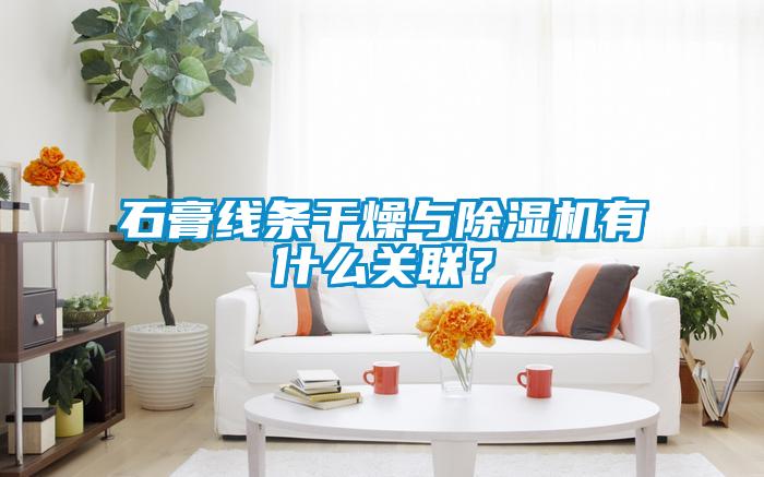 石膏線條干燥與除濕機有什么關聯(lián)？