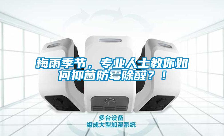 梅雨季節(jié)，專業(yè)人士教你如何抑菌防霉除醛？！