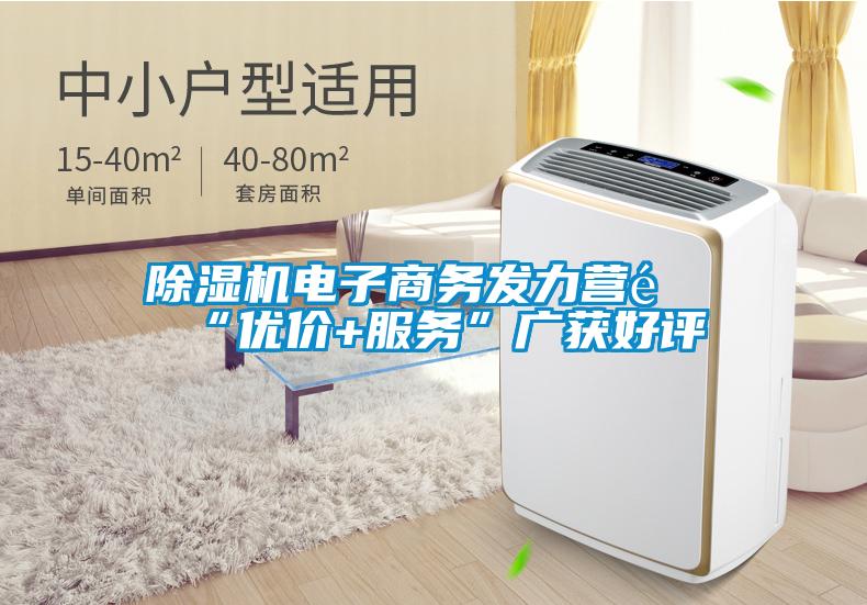 除濕機(jī)電子商務(wù)發(fā)力營銷“優(yōu)價+服務(wù)”廣獲好評