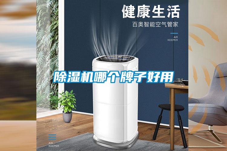 除濕機(jī)哪個(gè)牌子好用