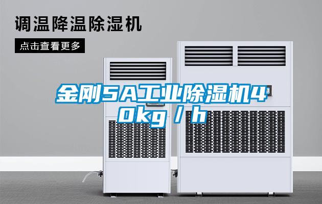 金剛5A工業(yè)除濕機(jī)40kg／h