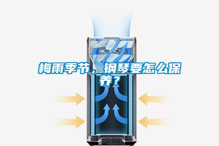 梅雨季節，鋼琴要怎么保養？