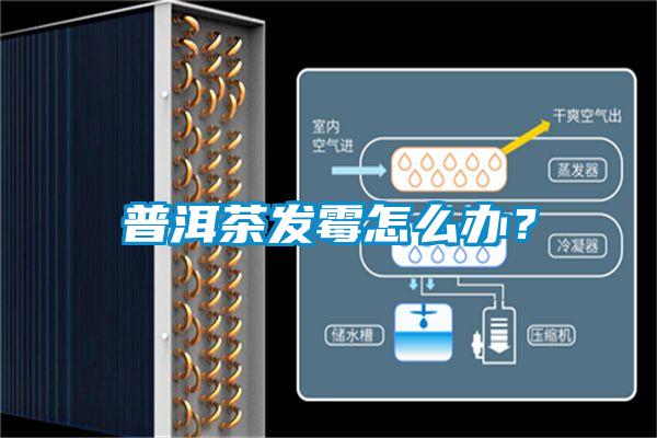 普洱茶發(fā)霉怎么辦？