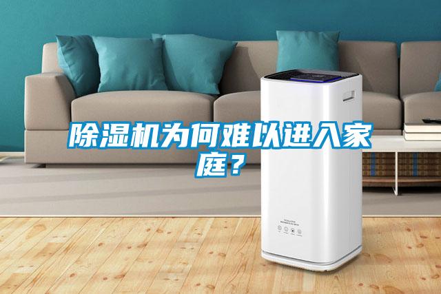 除濕機(jī)為何難以進(jìn)入家庭？