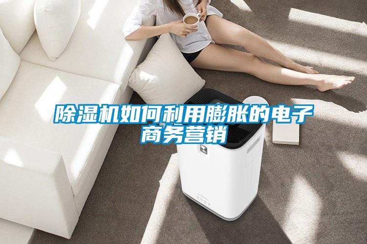 除濕機(jī)如何利用膨脹的電子商務(wù)營銷