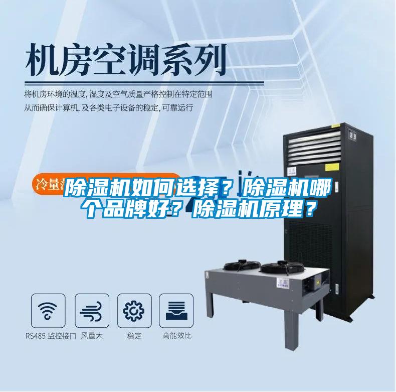 除濕機如何選擇？除濕機哪個品牌好？除濕機原理？