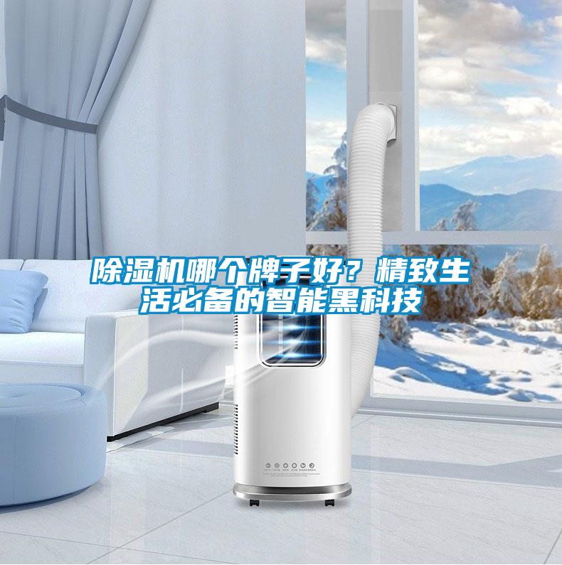 除濕機(jī)哪個(gè)牌子好？精致生活必備的智能黑科技