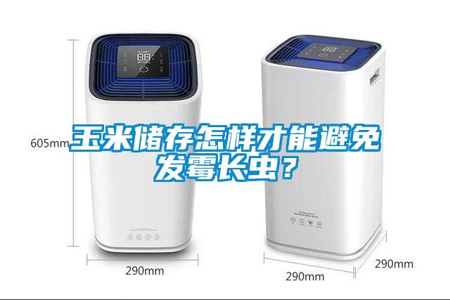 玉米儲存怎樣才能避免發(fā)霉長蟲？