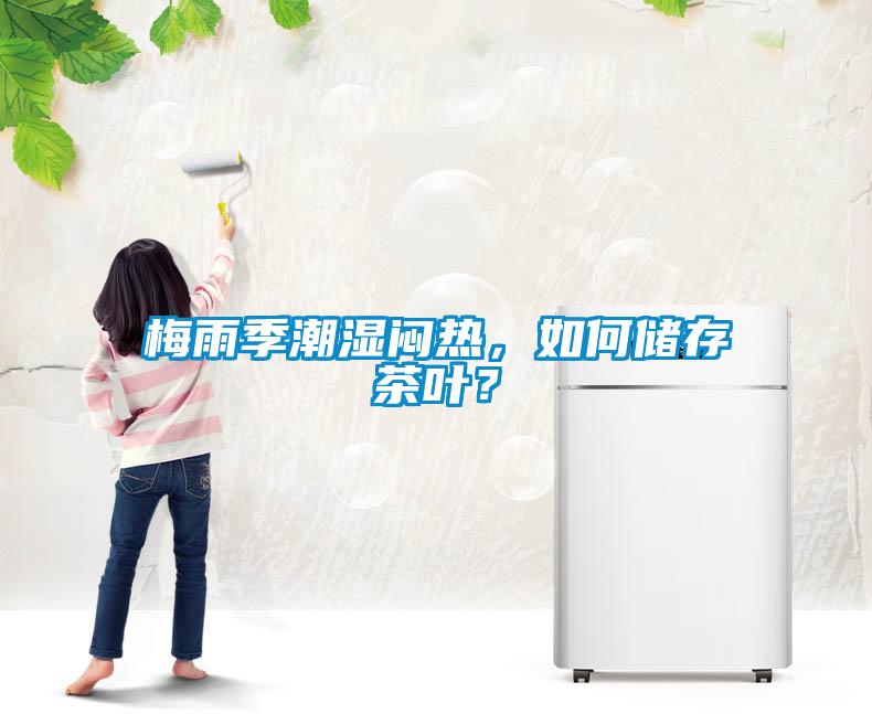 梅雨季潮濕悶熱，如何儲存茶葉？