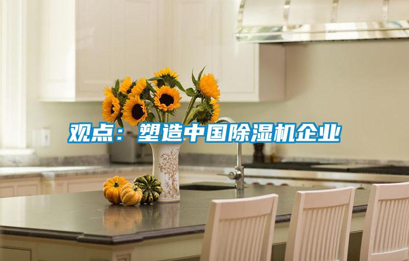 觀點(diǎn)：塑造中國(guó)除濕機(jī)企業(yè)