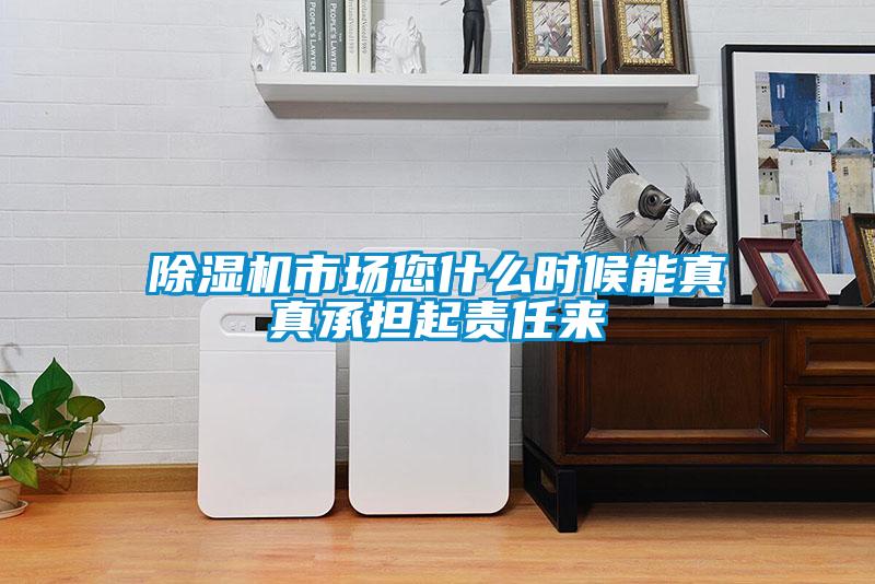 除濕機(jī)市場(chǎng)您什么時(shí)候能真真承擔(dān)起責(zé)任來(lái)