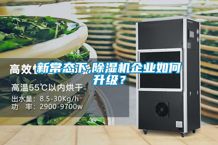 新常態下,除濕機企業如何升級？