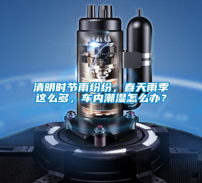 清明時節雨紛紛，春天雨季這么多，車內潮濕怎么辦？
