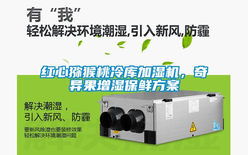 紅心獼猴桃冷庫加濕機，奇異果增濕保鮮方案