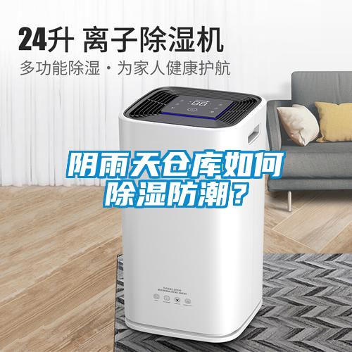 陰雨天倉(cāng)庫(kù)如何除濕防潮？