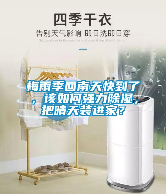 梅雨季回南天快到了，該如何強力除濕，把晴天裝進家？