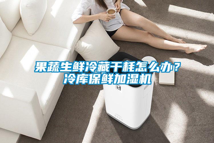 果蔬生鮮冷藏干耗怎么辦？冷庫保鮮加濕機(jī)