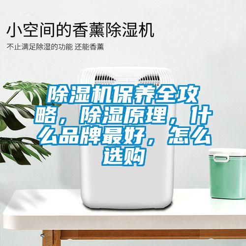 除濕機保養全攻略，除濕原理，什么品牌最好，怎么選購