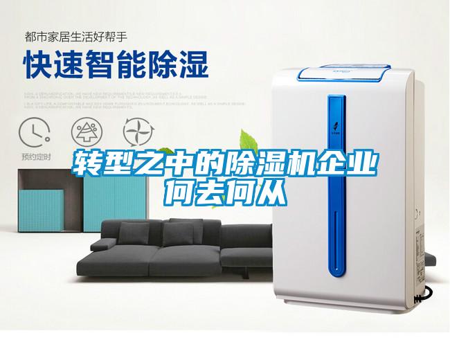 轉(zhuǎn)型之中的除濕機(jī)企業(yè)何去何從