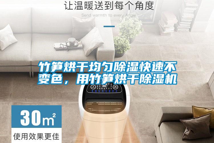 竹筍烘干均勻除濕快速不變色，用竹筍烘干除濕機