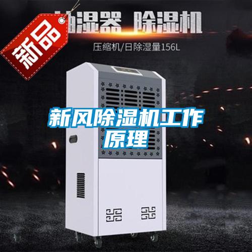 新風(fēng)除濕機工作原理