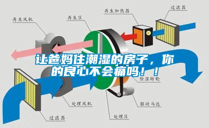 讓爸媽住潮濕的房子，你的良心不會(huì)痛嗎?。?/></p>
<p style=