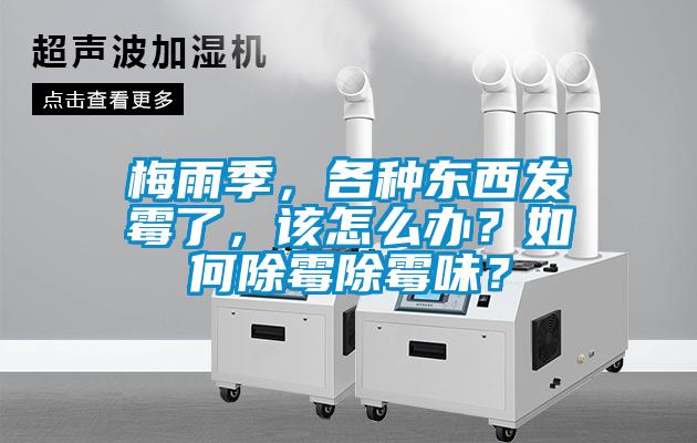 梅雨季，各種東西發霉了，該怎么辦？如何除霉除霉味？