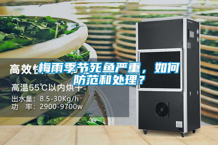 梅雨季節(jié)死魚嚴(yán)重，如何防范和處理？