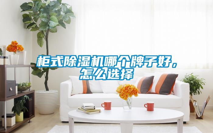 柜式除濕機哪個牌子好，怎么選擇