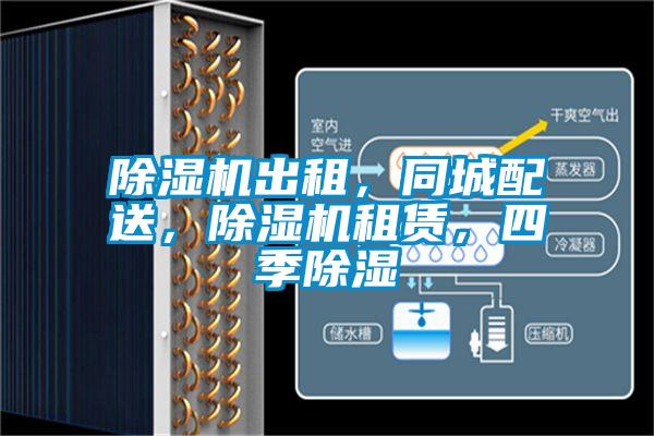 除濕機出租，同城配送，除濕機租賃，四季除濕