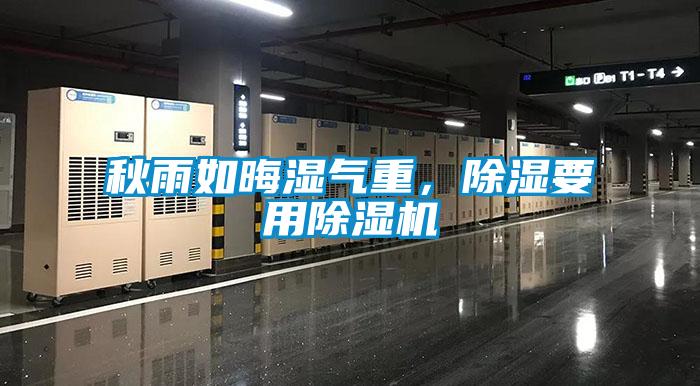 秋雨如晦濕氣重，除濕要用除濕機(jī)