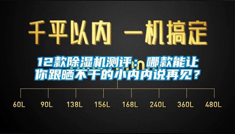 12款除濕機測評：哪款能讓你跟曬不干的小內內說再見？