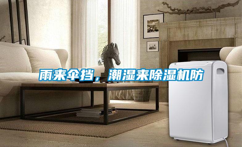 雨來傘擋，潮濕來除濕機防