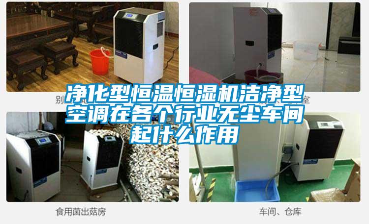 凈化型恒溫恒濕機(jī)潔凈型空調(diào)在各個(gè)行業(yè)無(wú)塵車(chē)間起什么作用