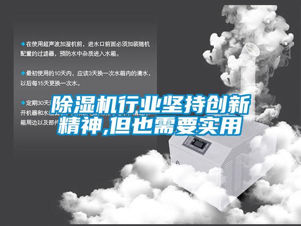 除濕機(jī)行業(yè)堅(jiān)持創(chuàng)新精神,但也需要實(shí)用
