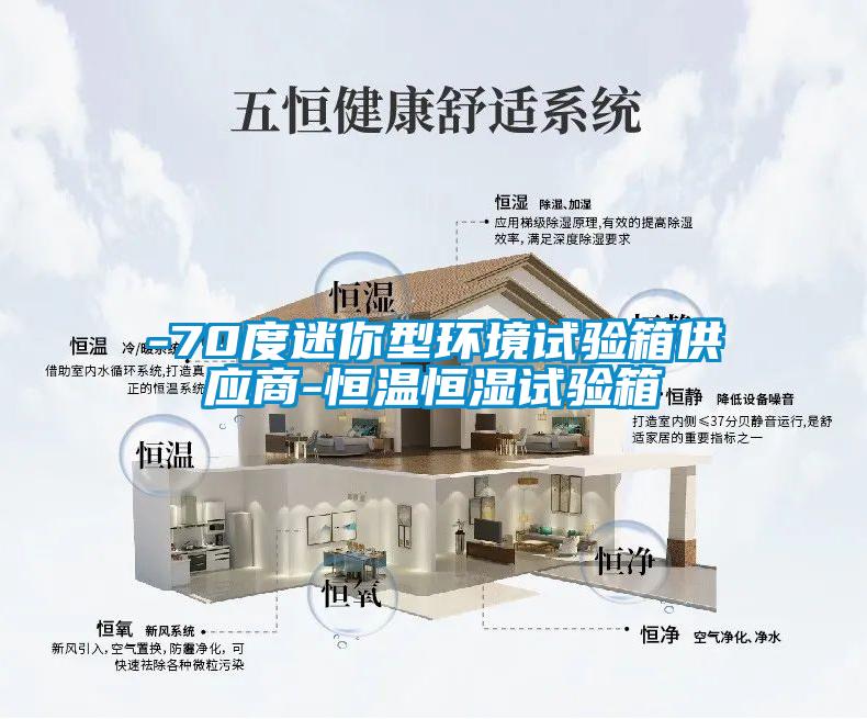 -70度迷你型環(huán)境試驗箱供應(yīng)商-恒溫恒濕試驗箱