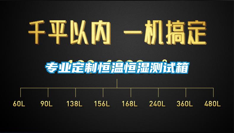 專業(yè)定制恒溫恒濕測(cè)試箱