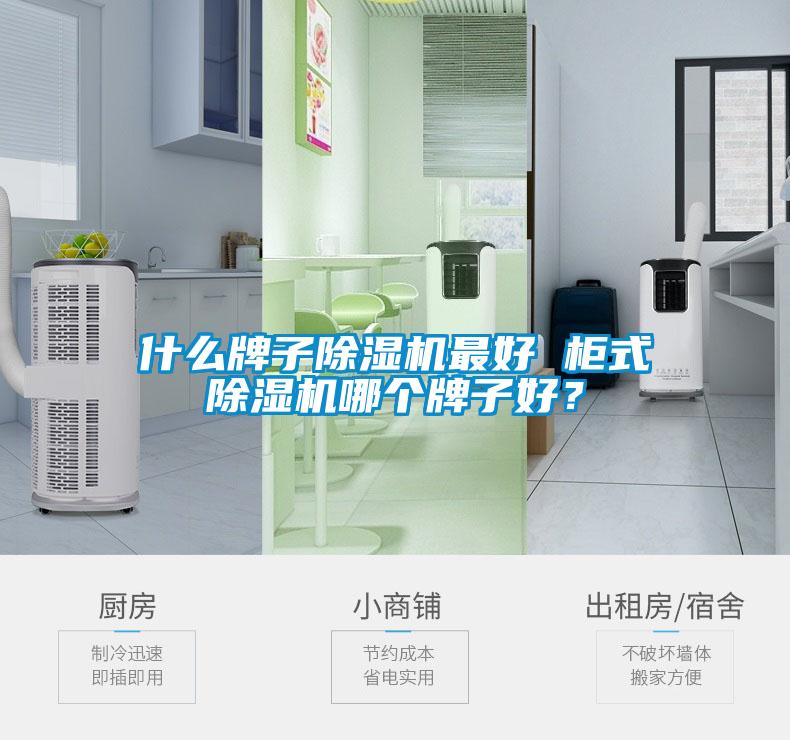 什么牌子除濕機最好 柜式除濕機哪個牌子好？