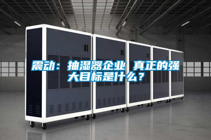 震動：抽濕器企業(yè) 真正的強大目標是什么？