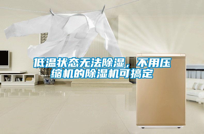 低溫狀態無法除濕，不用壓縮機的除濕機可搞定
