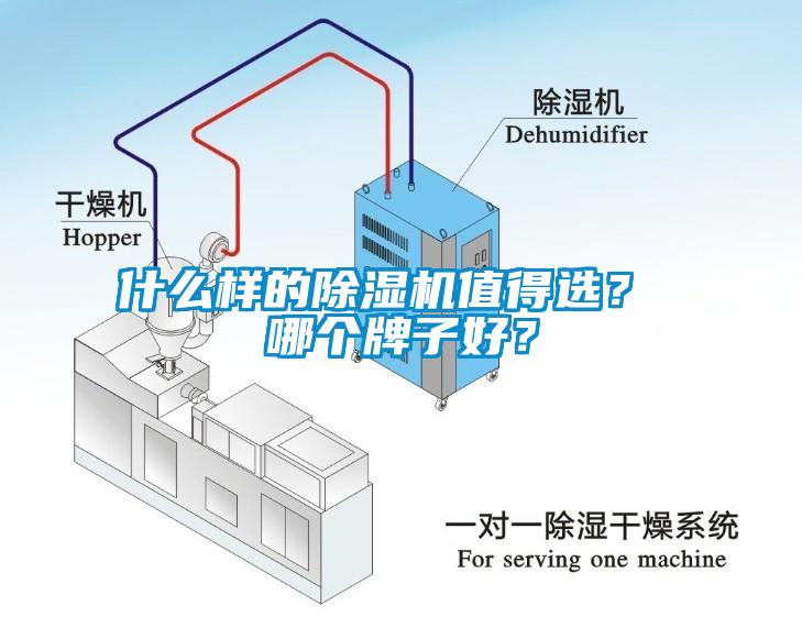 什么樣的除濕機值得選？ 哪個牌子好？