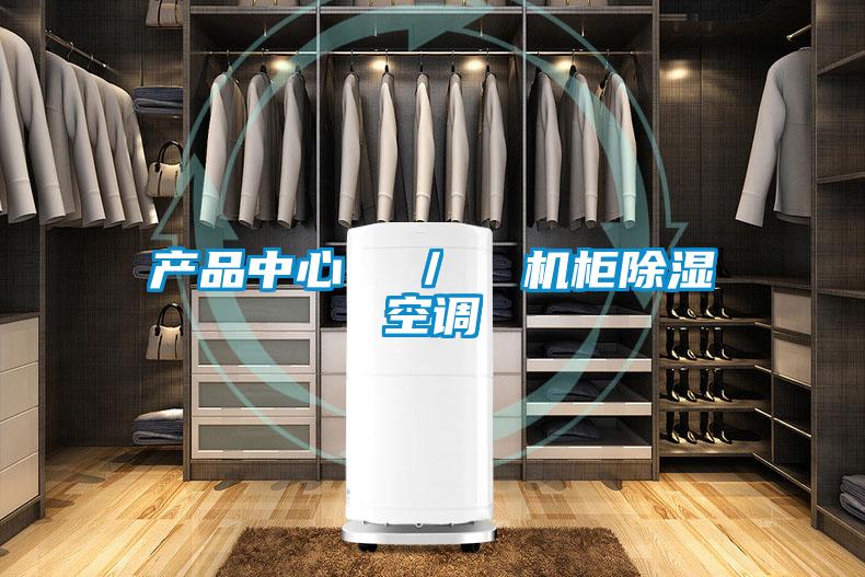產(chǎn)品中心  ／  機(jī)柜除濕空調(diào)