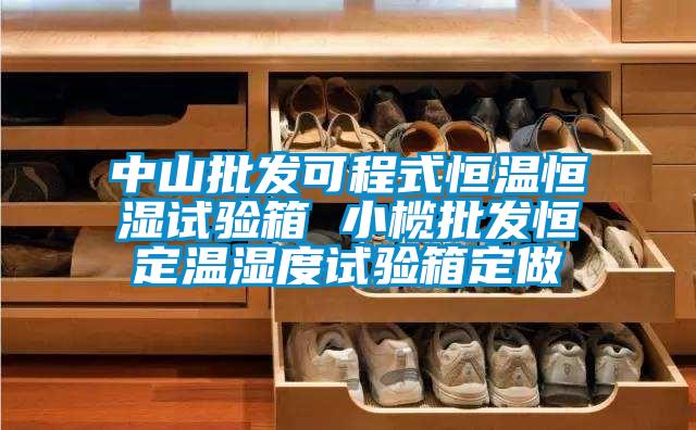 中山批發(fā)可程式恒溫恒濕試驗(yàn)箱 小欖批發(fā)恒定溫濕度試驗(yàn)箱定做
